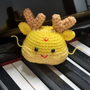 Little Dragon 小龍
